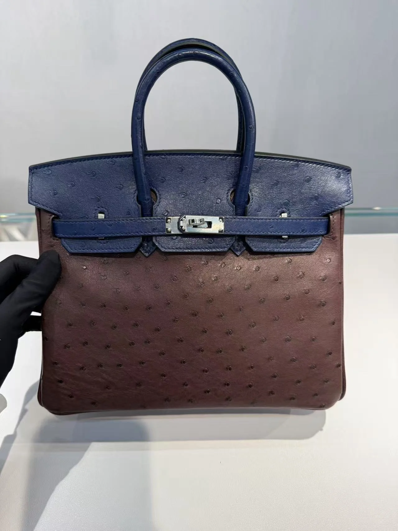 Birkin 25