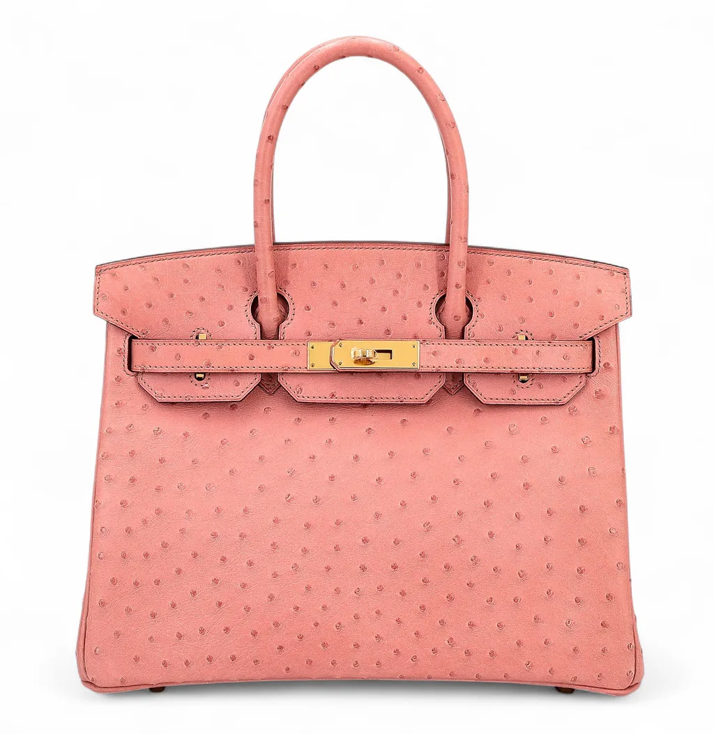 Birkin 30 Terre Cuite (94)