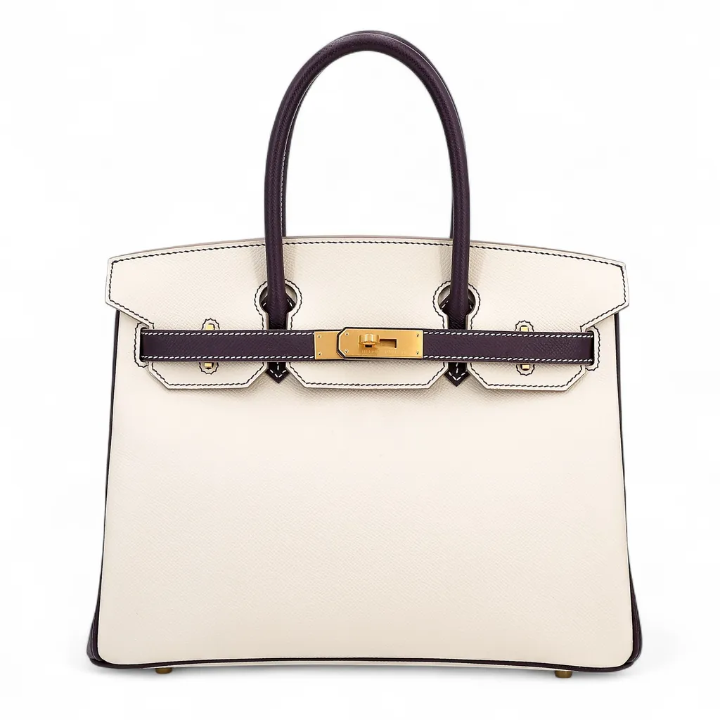 Birkin 30 HSS Craie (10) Raisin (59)