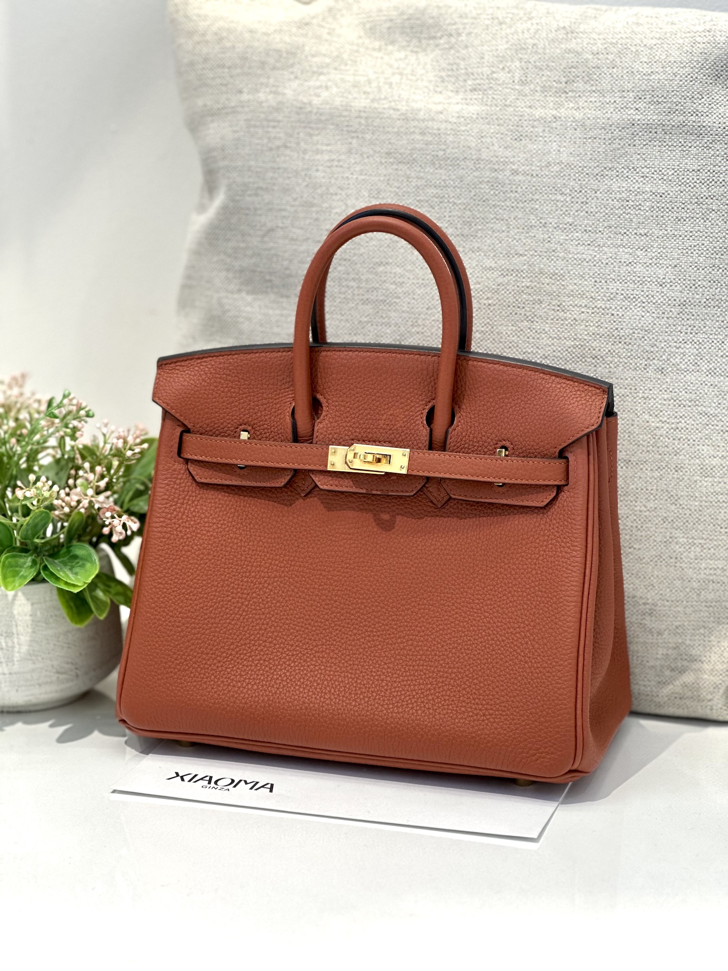 https://img.ginzaxiaoma.com/images/20251003/49f260899cd74969938a22e333aa9275.jpg