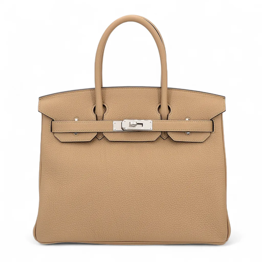 Birkin 30 Poussiere (1C)