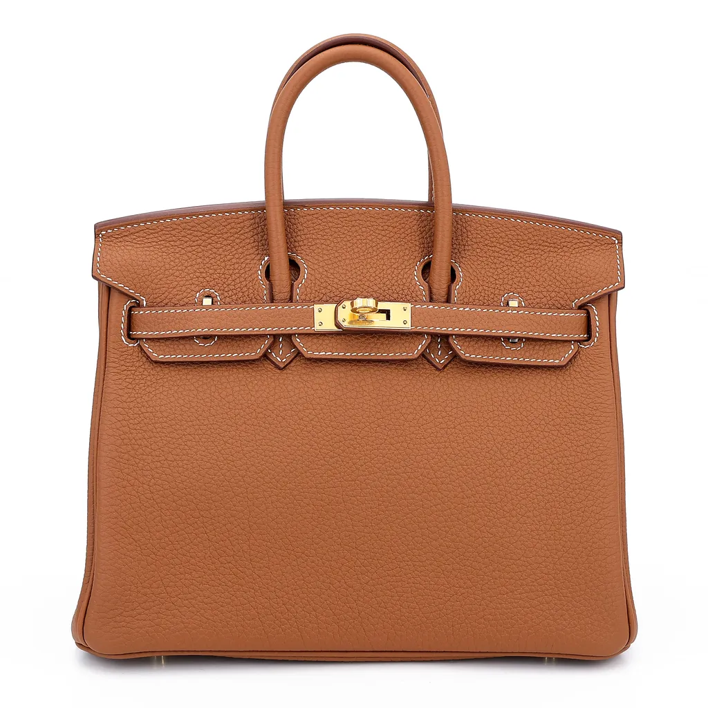 Birkin 25 Gold (37)