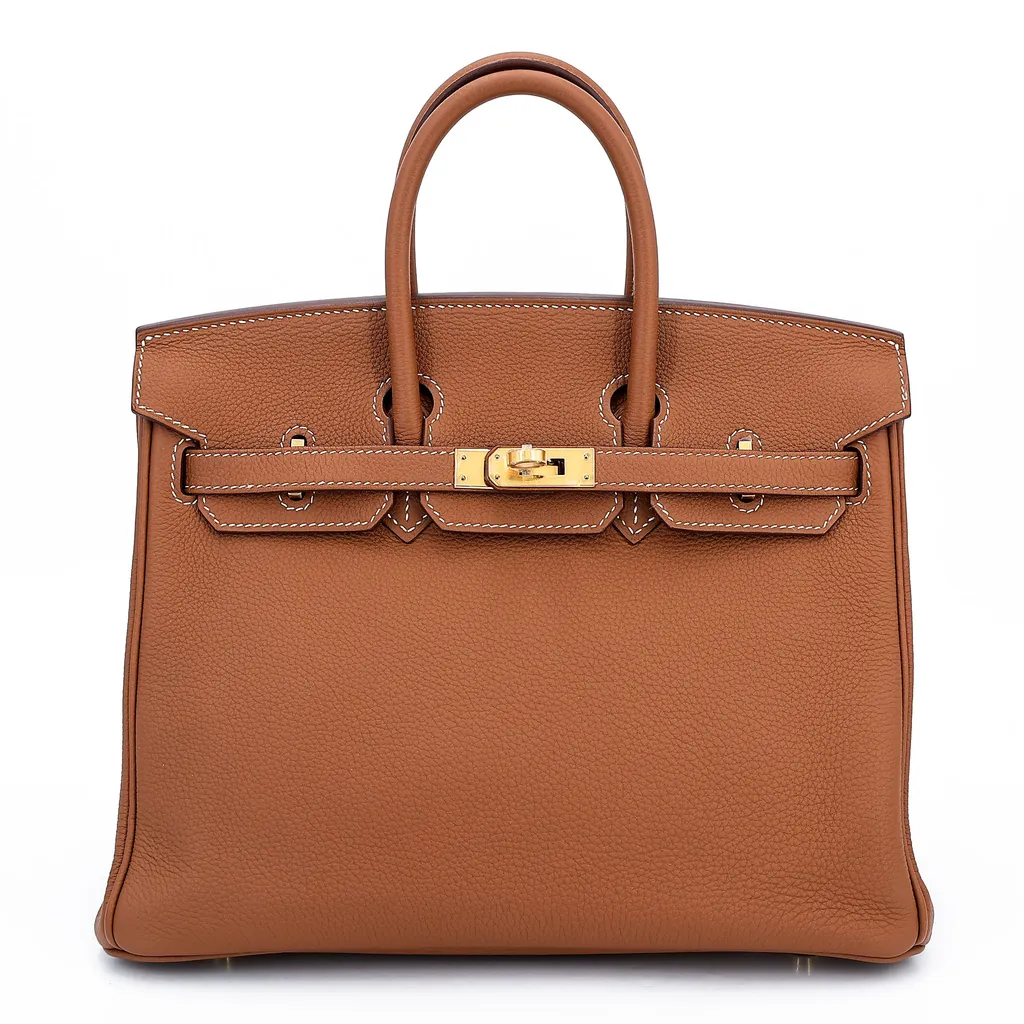 Birkin 25 Gold (37)