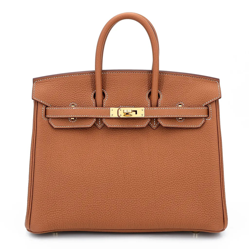Birkin 25 Gold (37)
