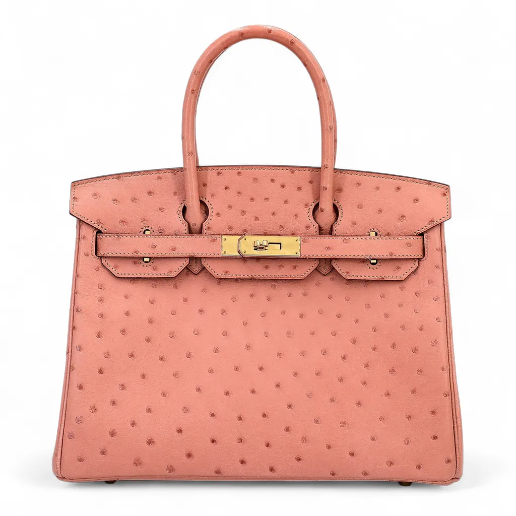 Birkin 30 Terre Cuite (94)