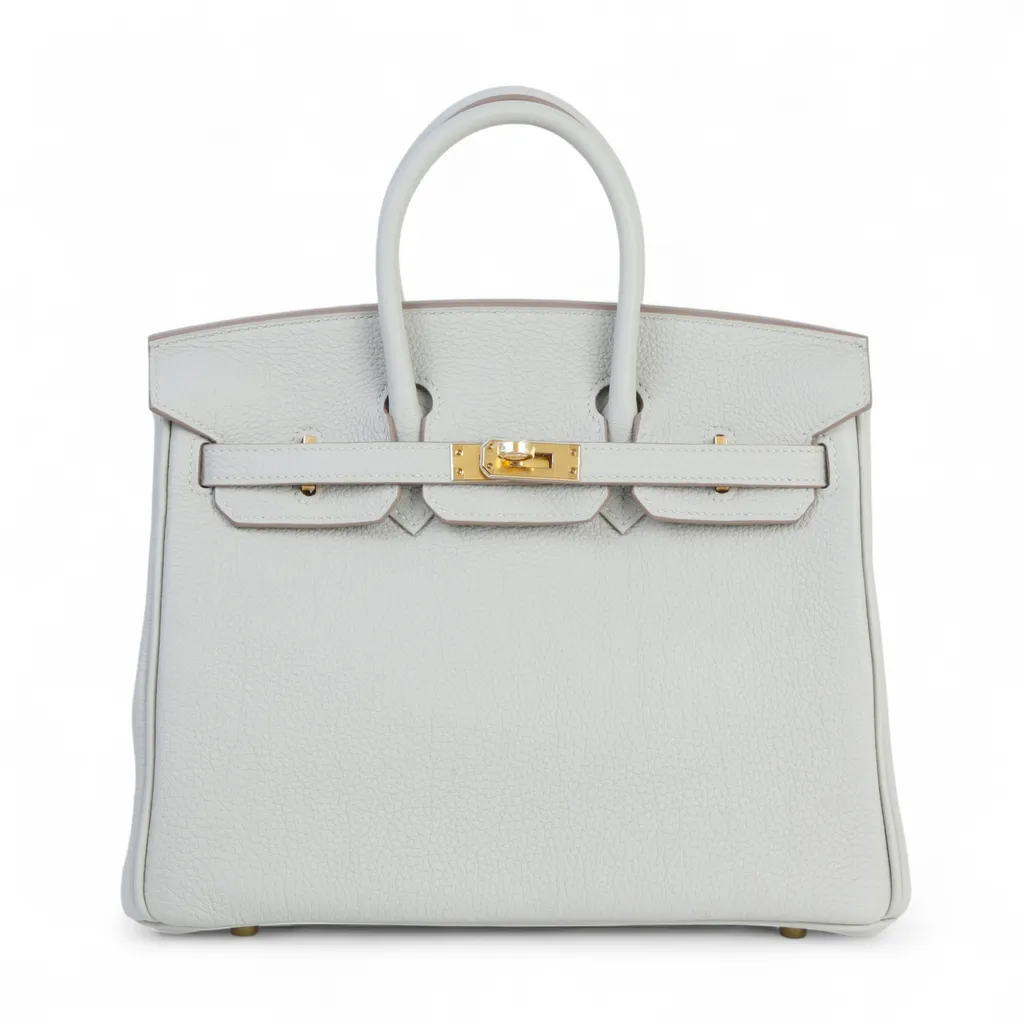 Birkin 25 Gris Perle (80)