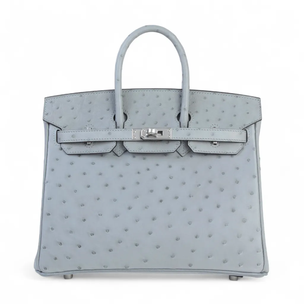 Birkin 25 Bleu Glacier (8U)