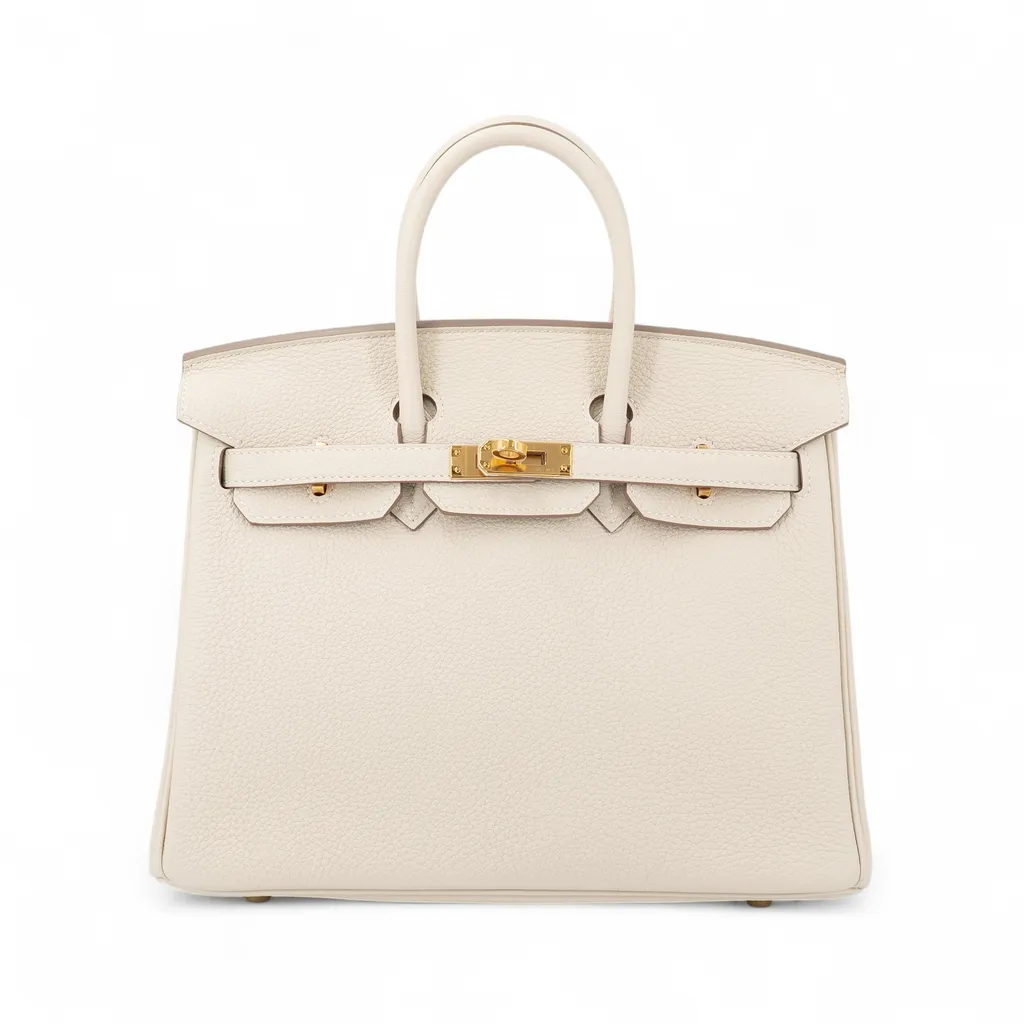 バーキン25 クレ (10)