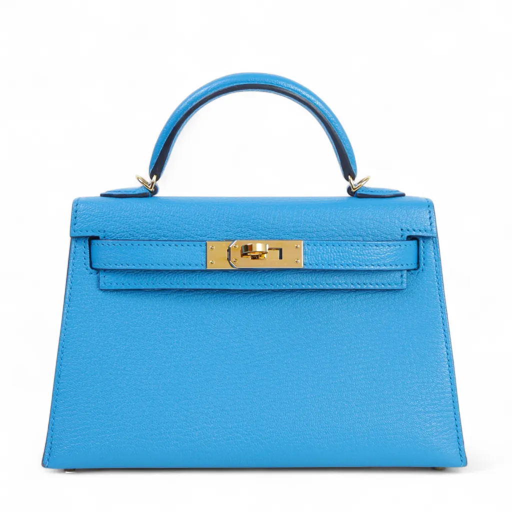 ミニケリー2 ブルーザンジバル (B3)