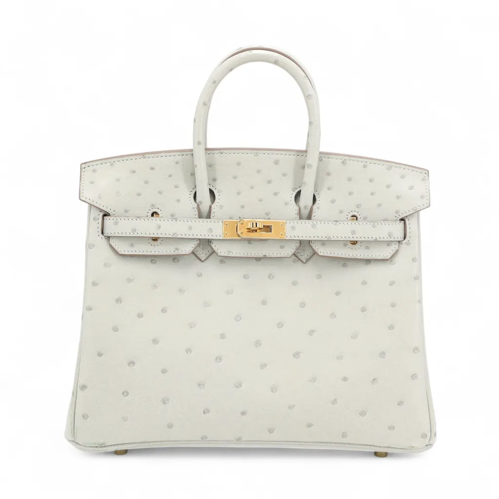 Birkin 25 Gris Perle (80)