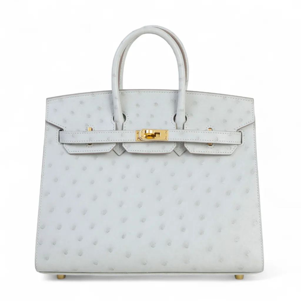 Birkin 25 Sellier Gris Perle (80)