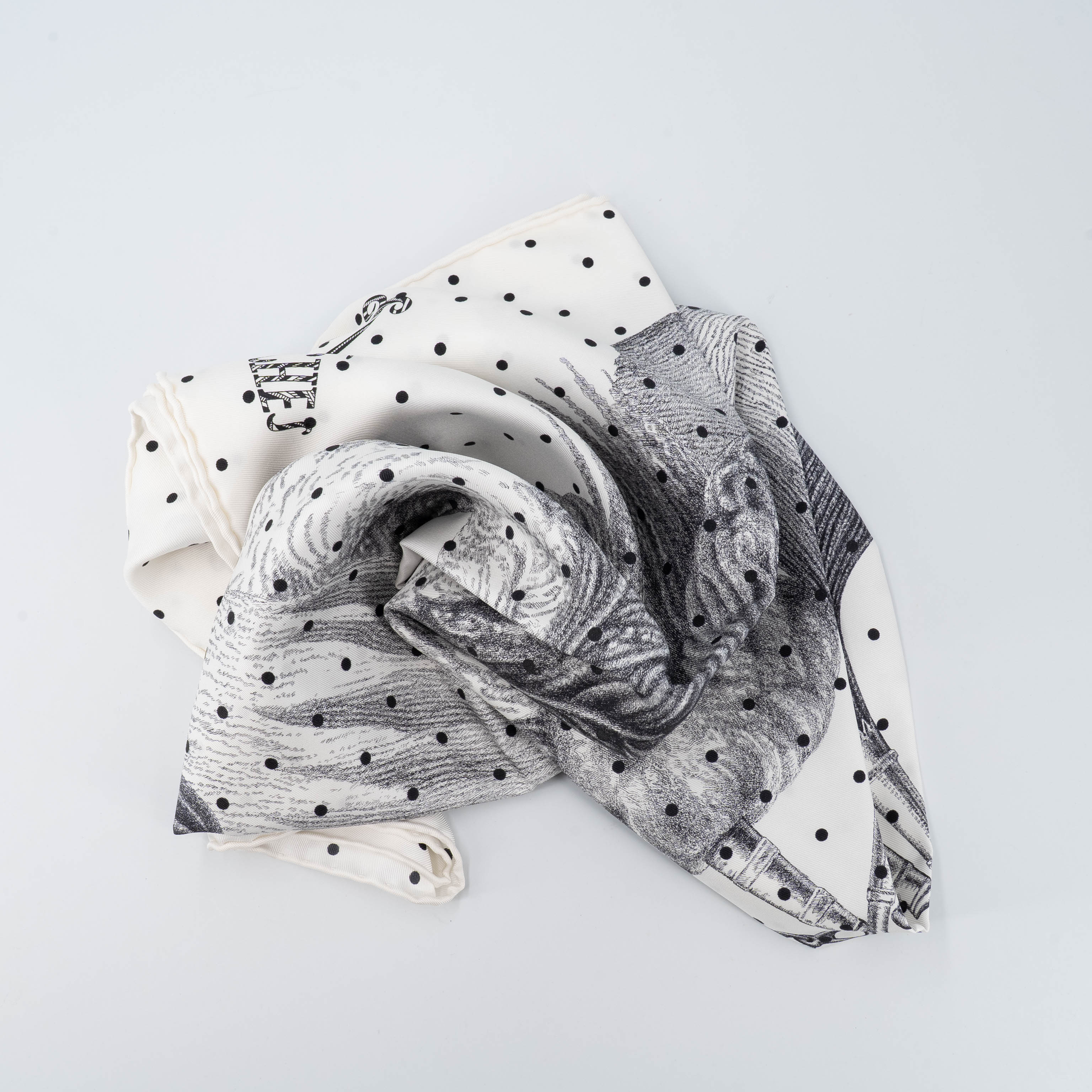 ランク N 新品 HERMÈS エルメス カレ90 羽根と羽飾り ブラック