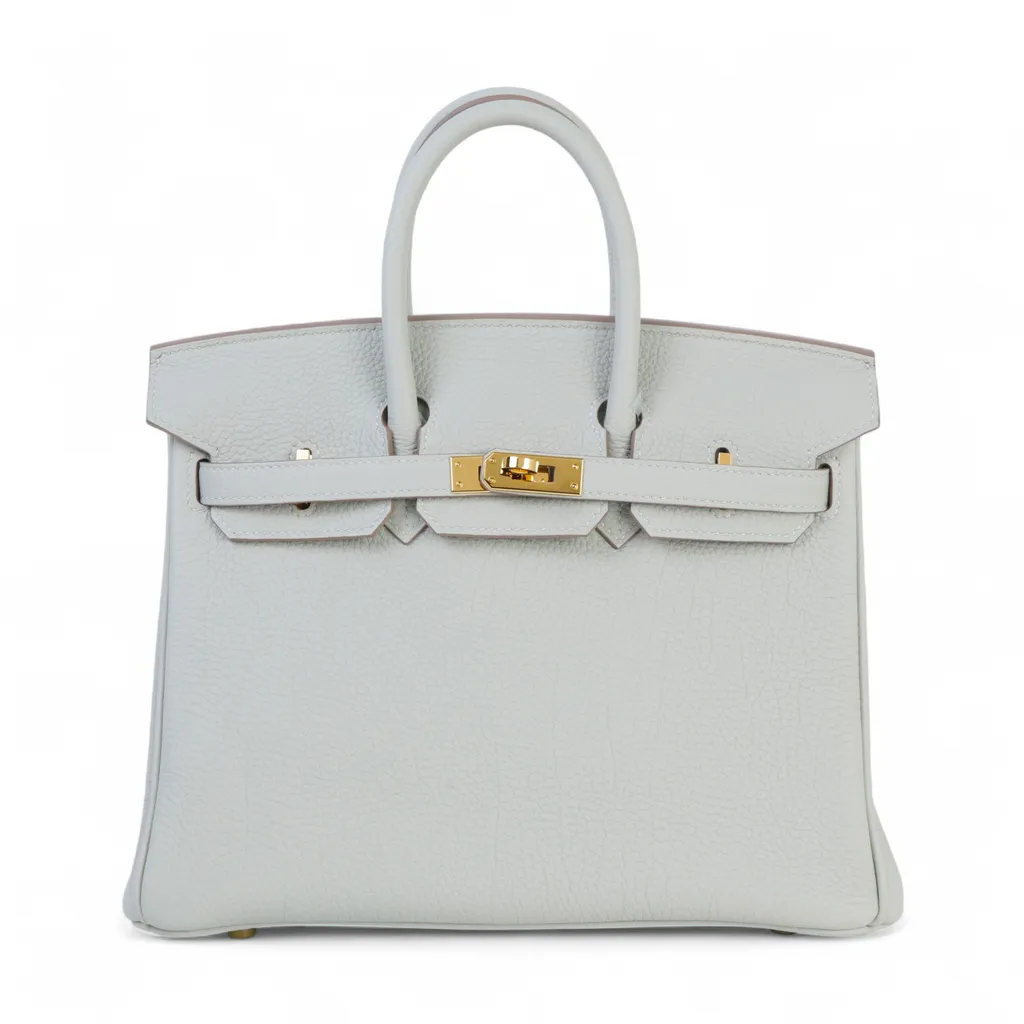 バーキン25 グリパール (80)