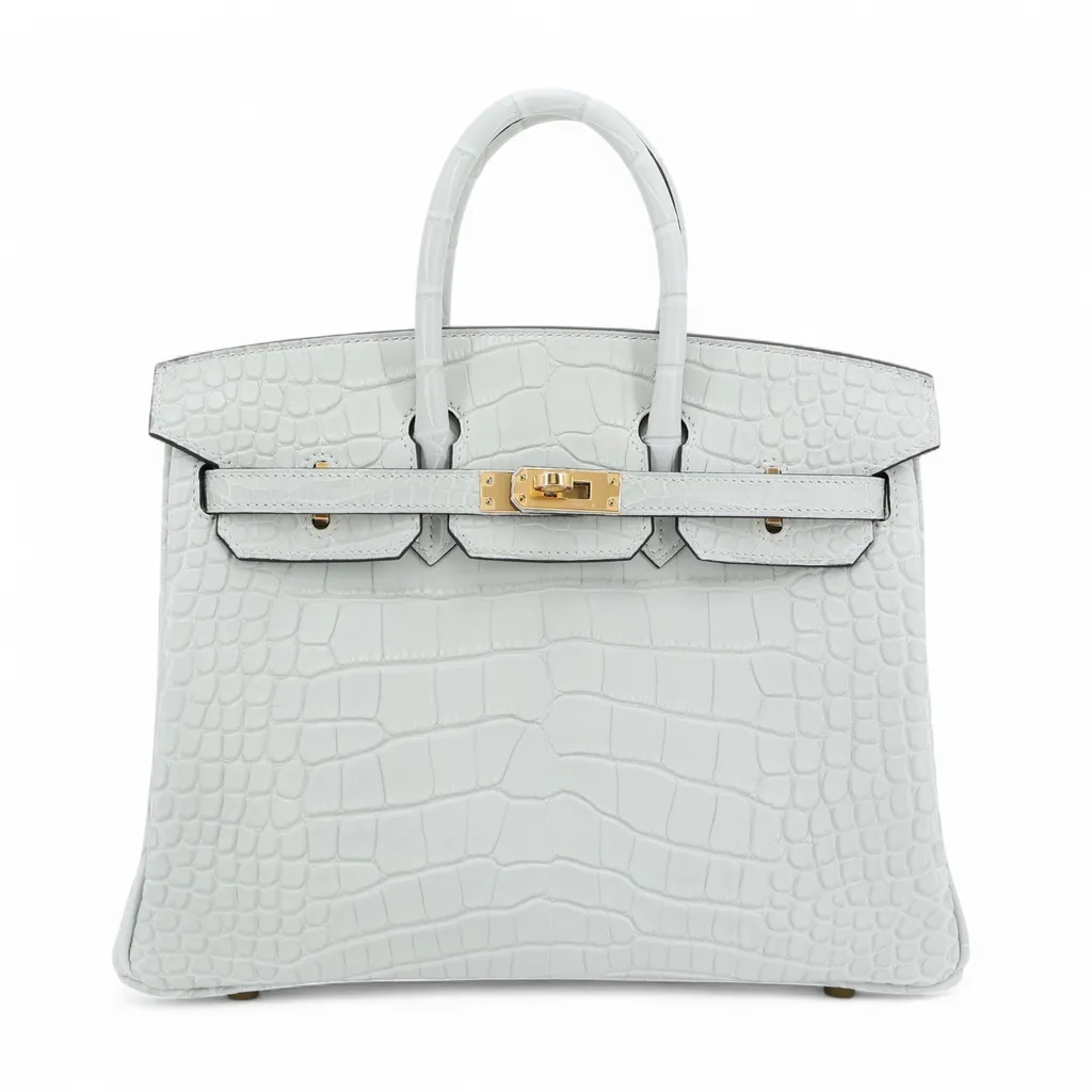 Birkin 25 Gris Neve (0W)