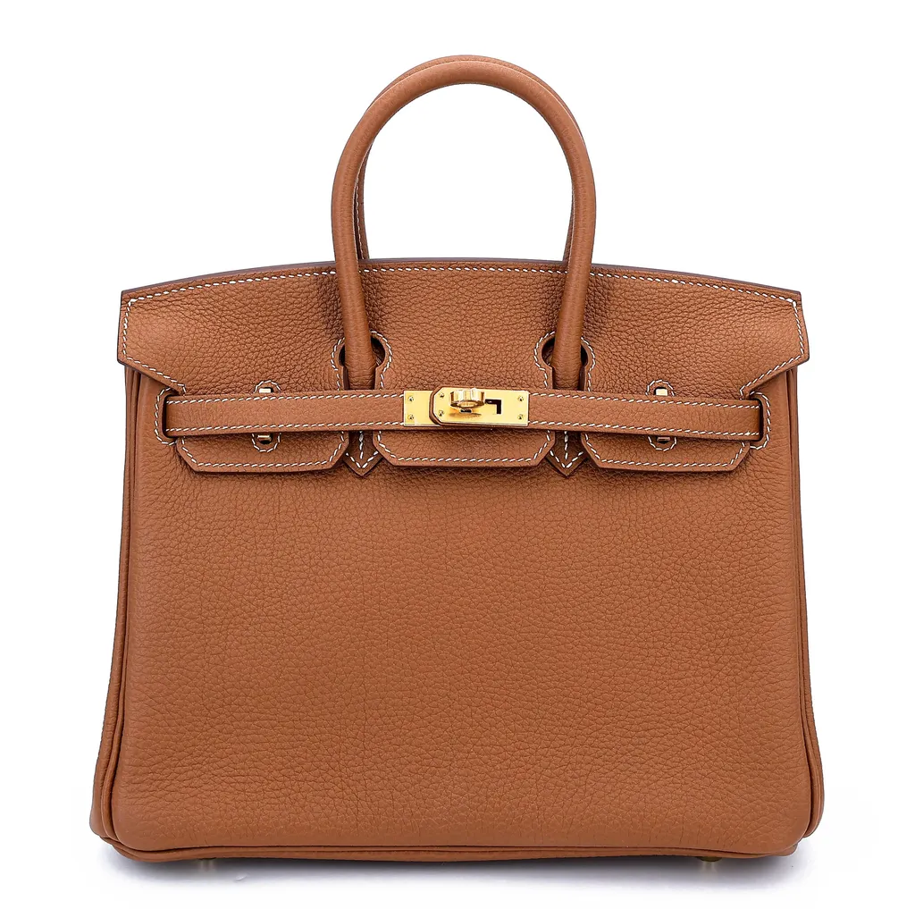 Birkin 25 Gold (37)