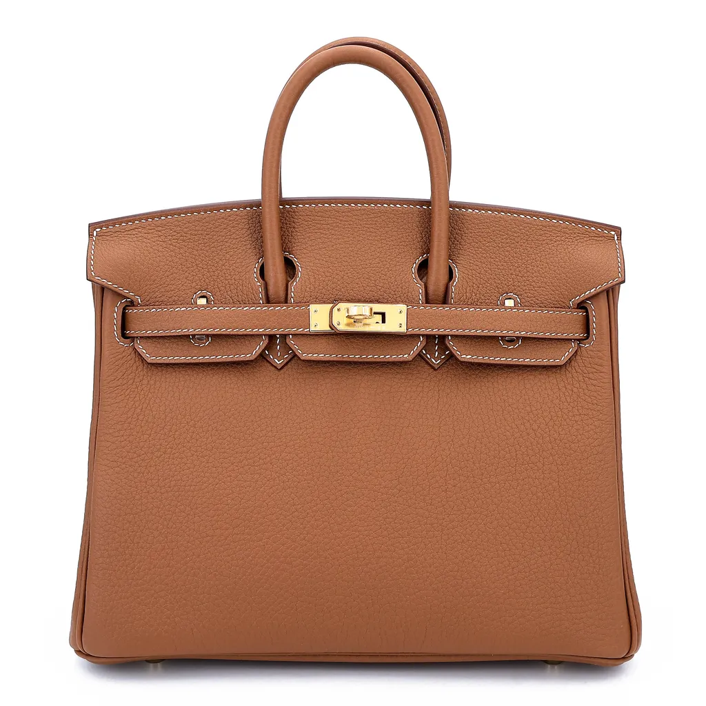 Birkin 25 Gold (37)
