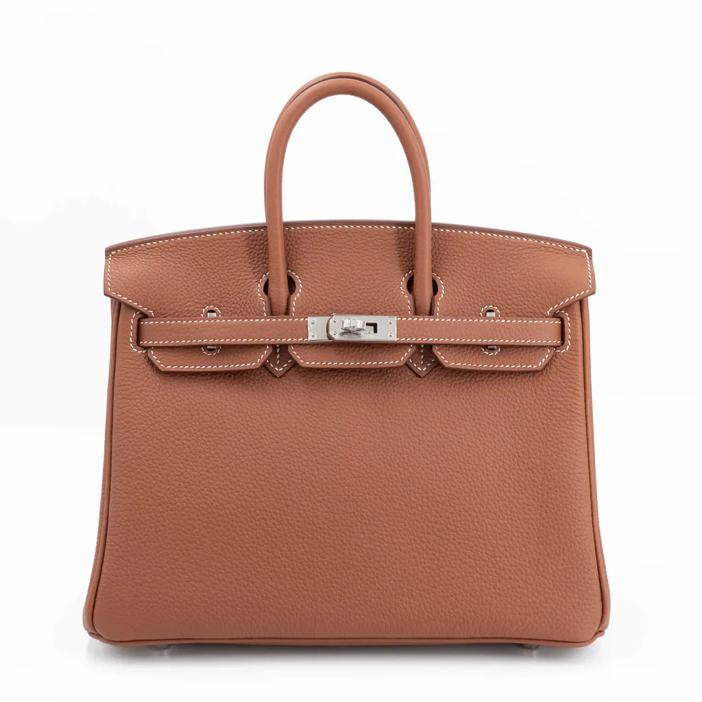 Birkin 25 Gold (37)