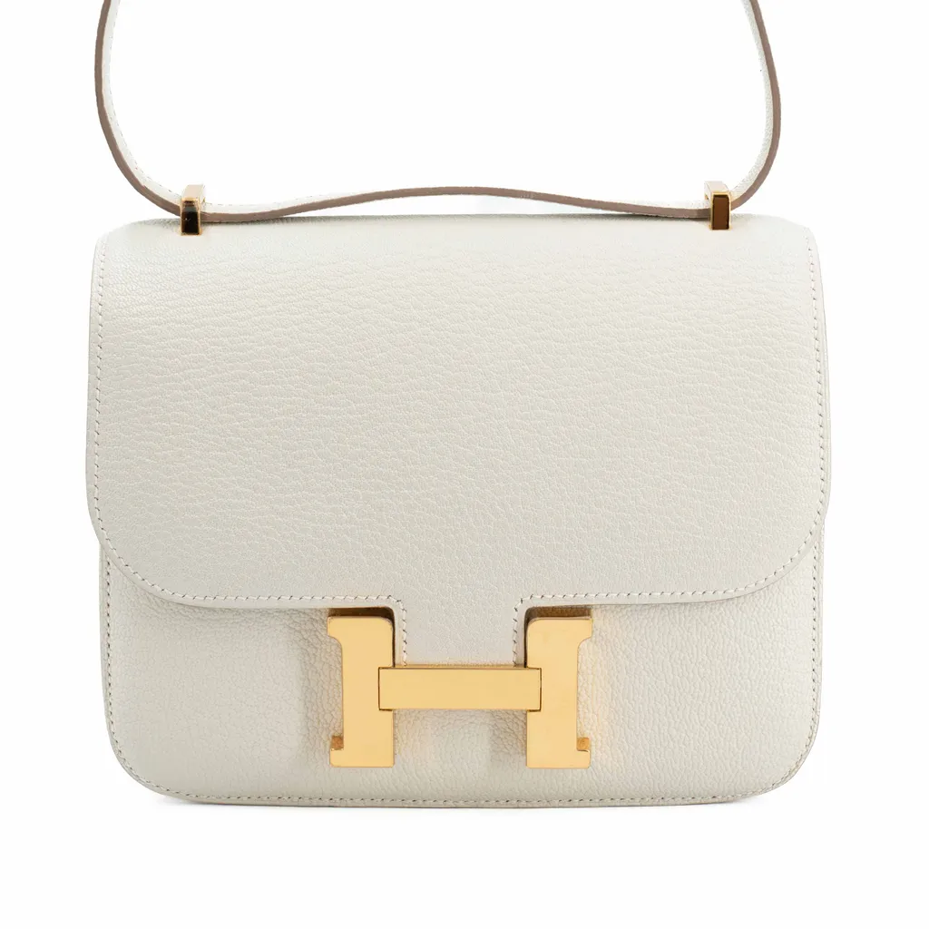 コンスタンス3 ミニ マッシュルーム (0T)