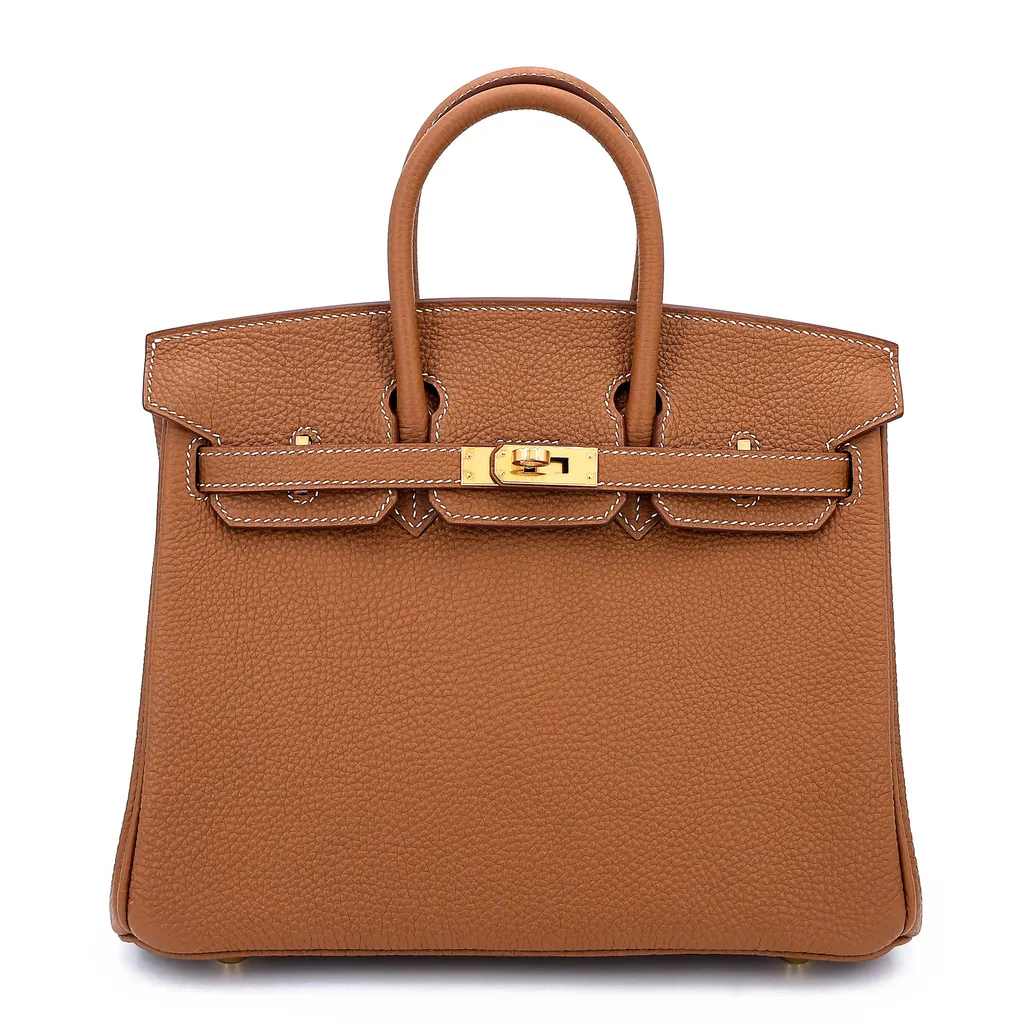 Birkin 25 Gold (37)