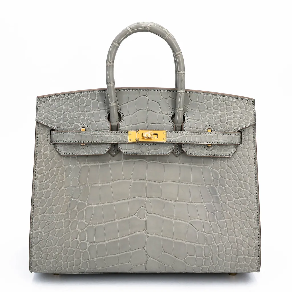 Birkin 25 Sellier Gris Perle (80)