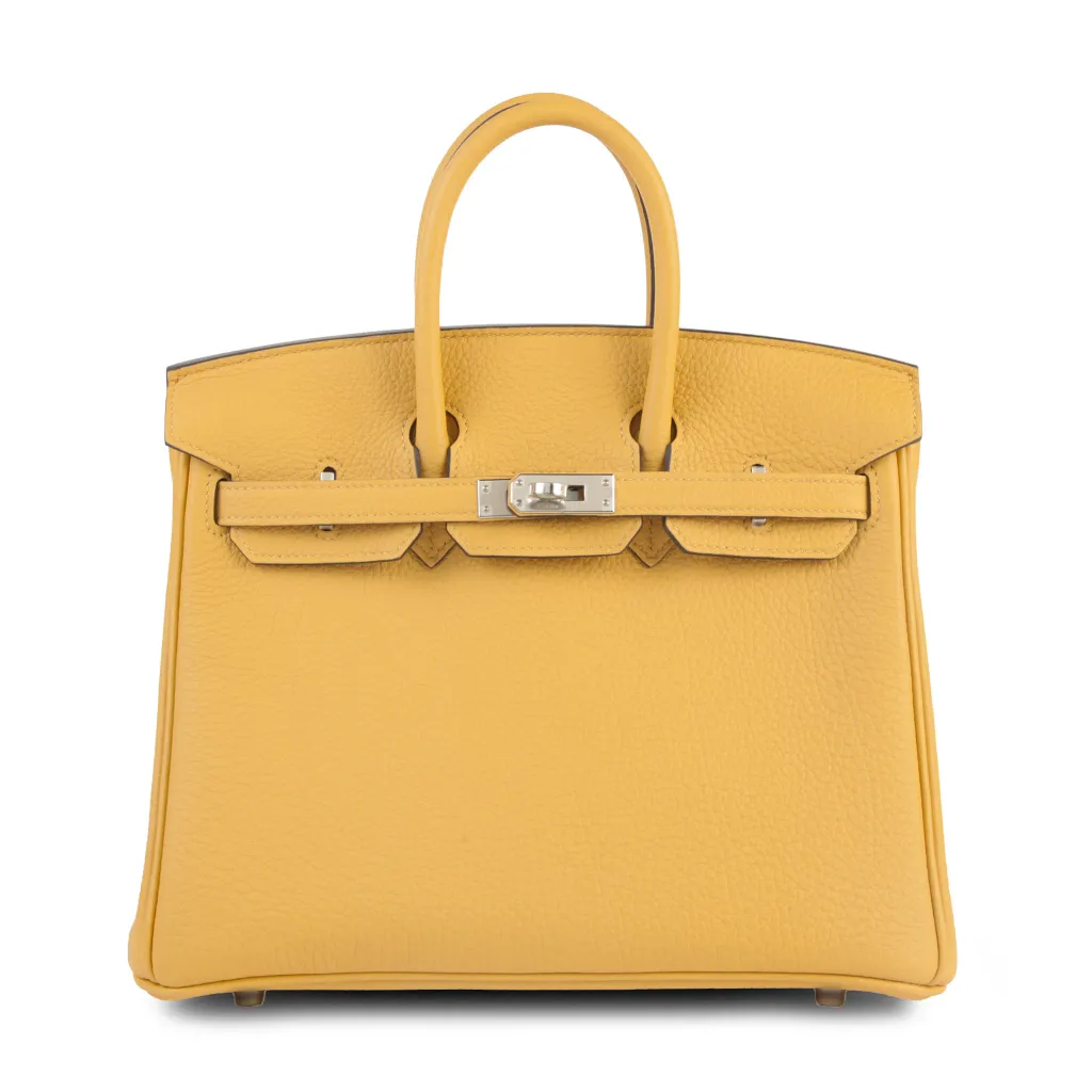 バーキン25 パイユ（1A）