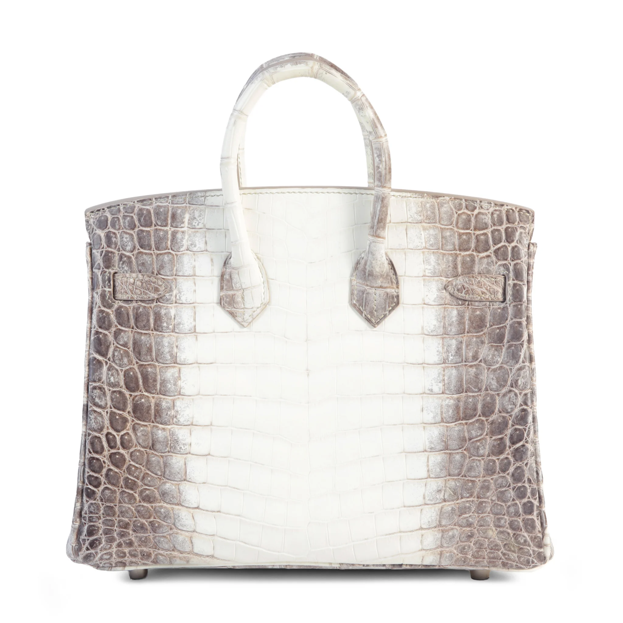 バーキン25 ヒマラヤ