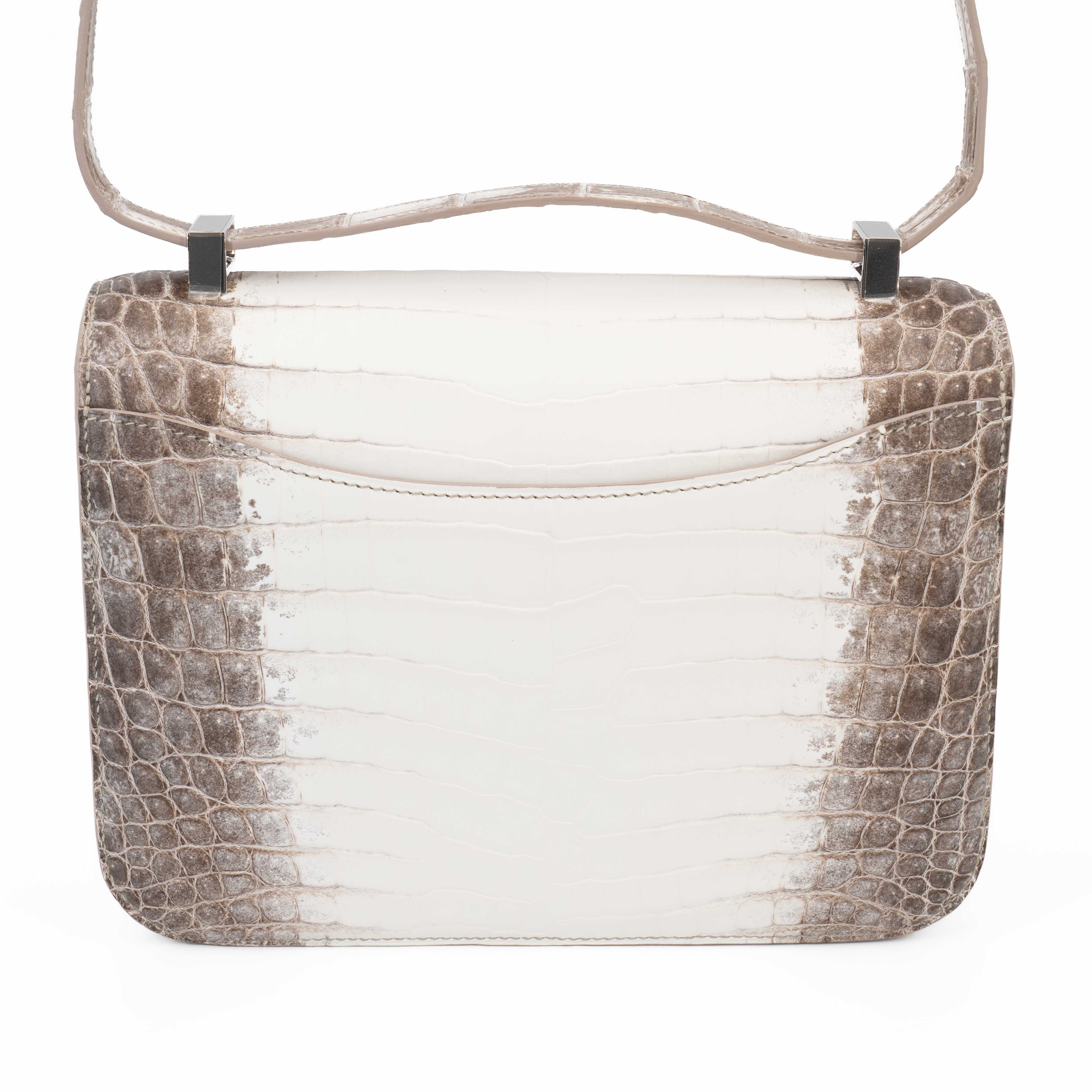 Constance 康康 24 喜马拉雅