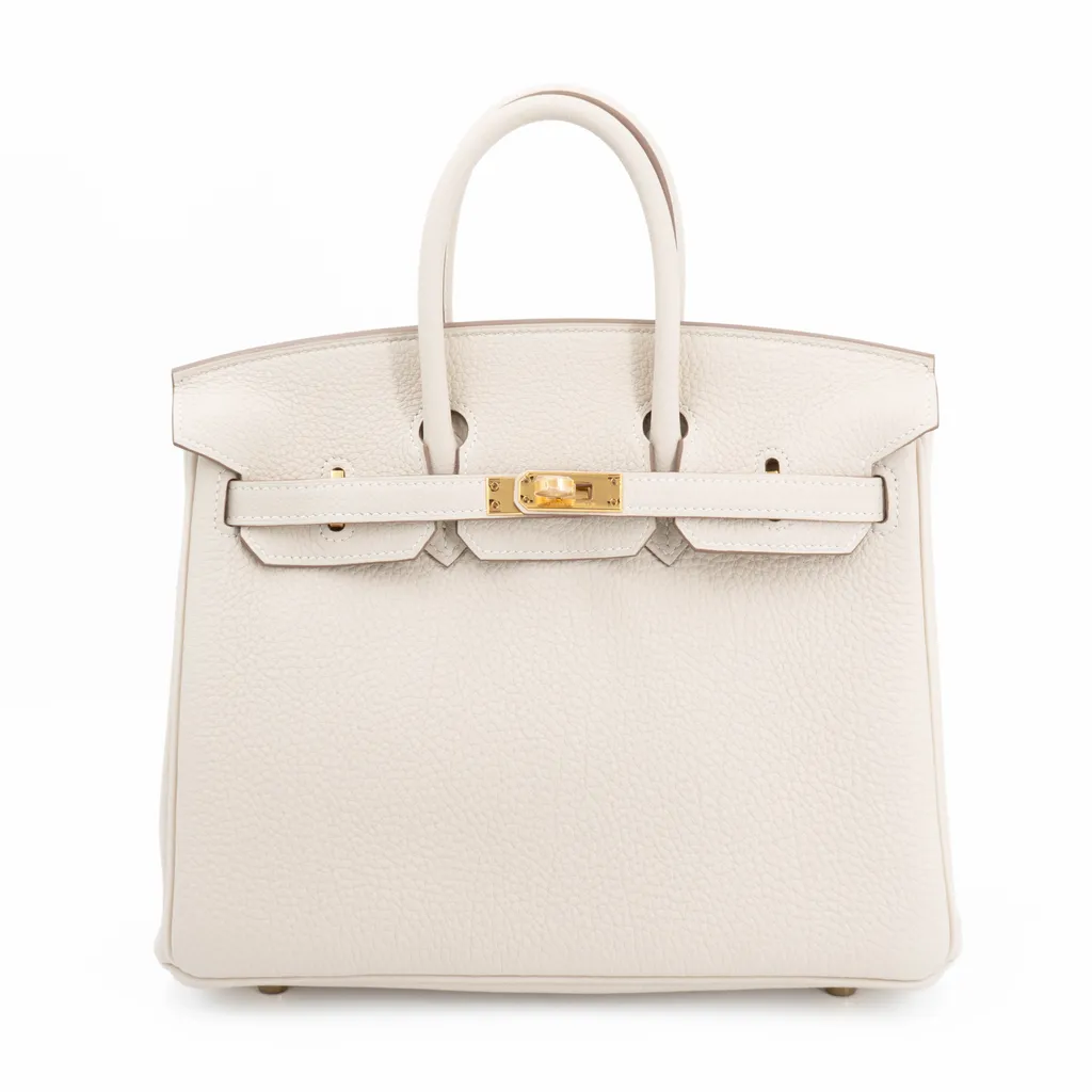 バーキン25 クレ (10)