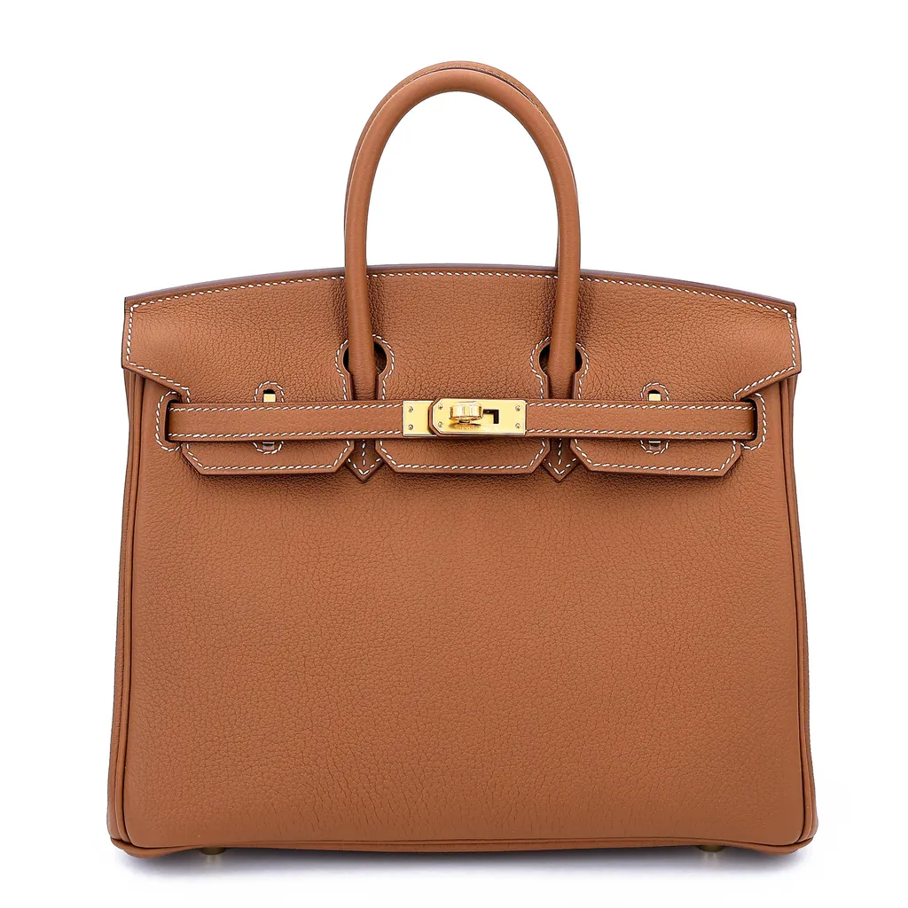 Birkin 25 Gold (37)