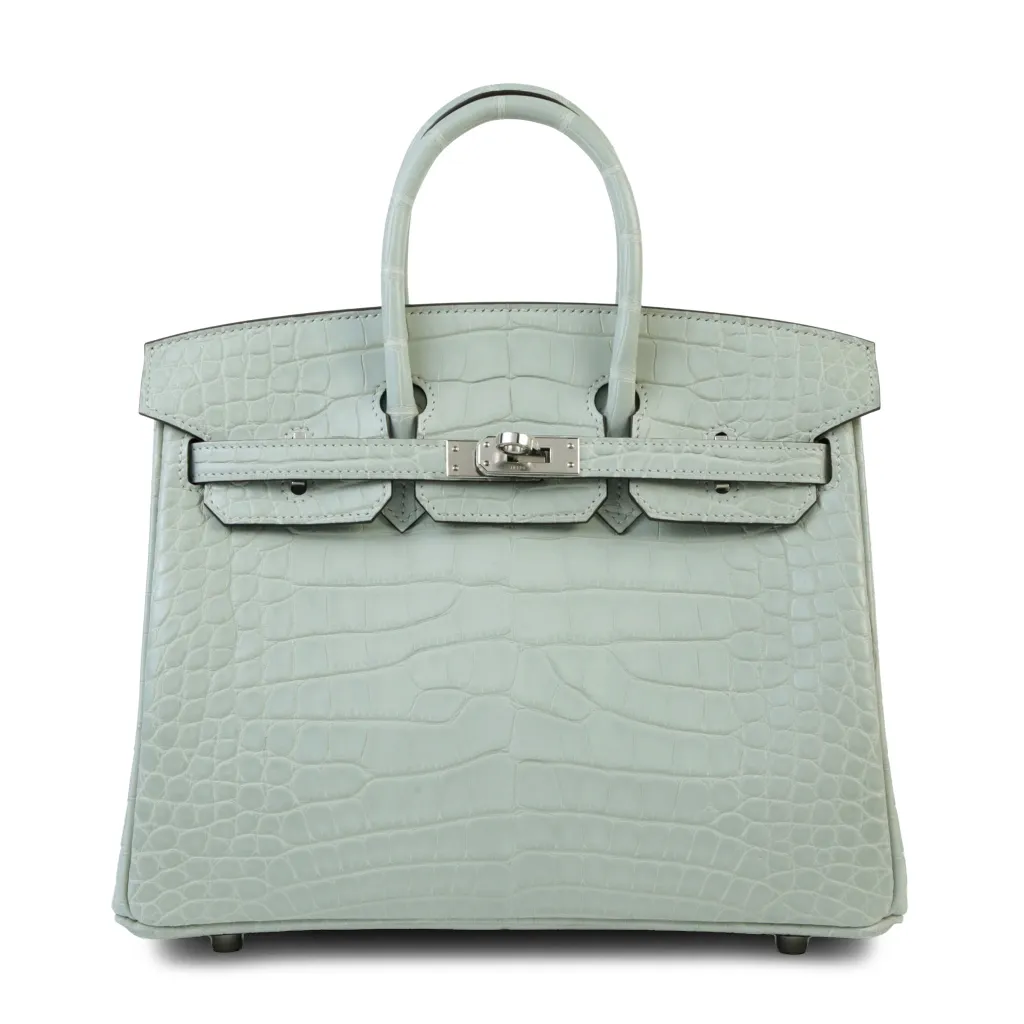 Birkin 25 Gris Neve (0W)