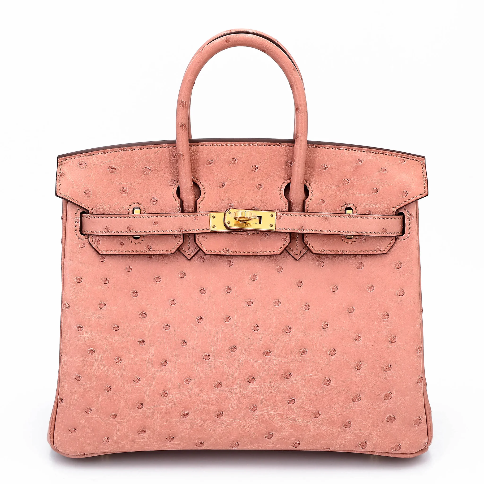 Birkin 25 Terre Cuite (94)