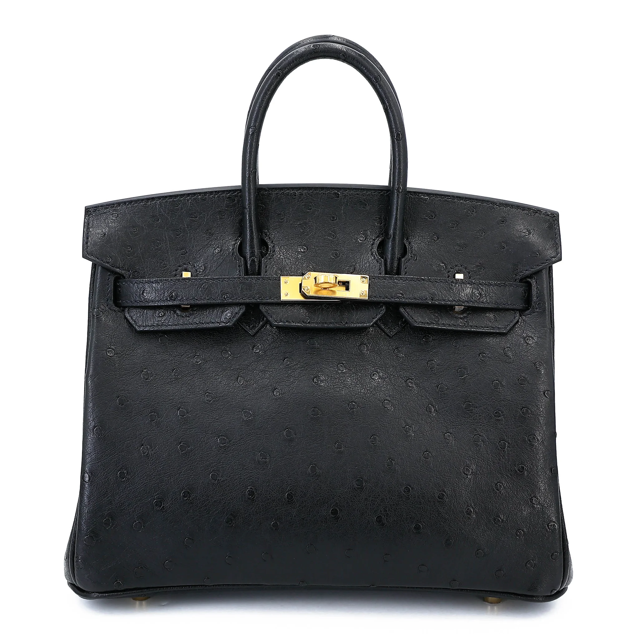 Birkin 25 Noir (89)