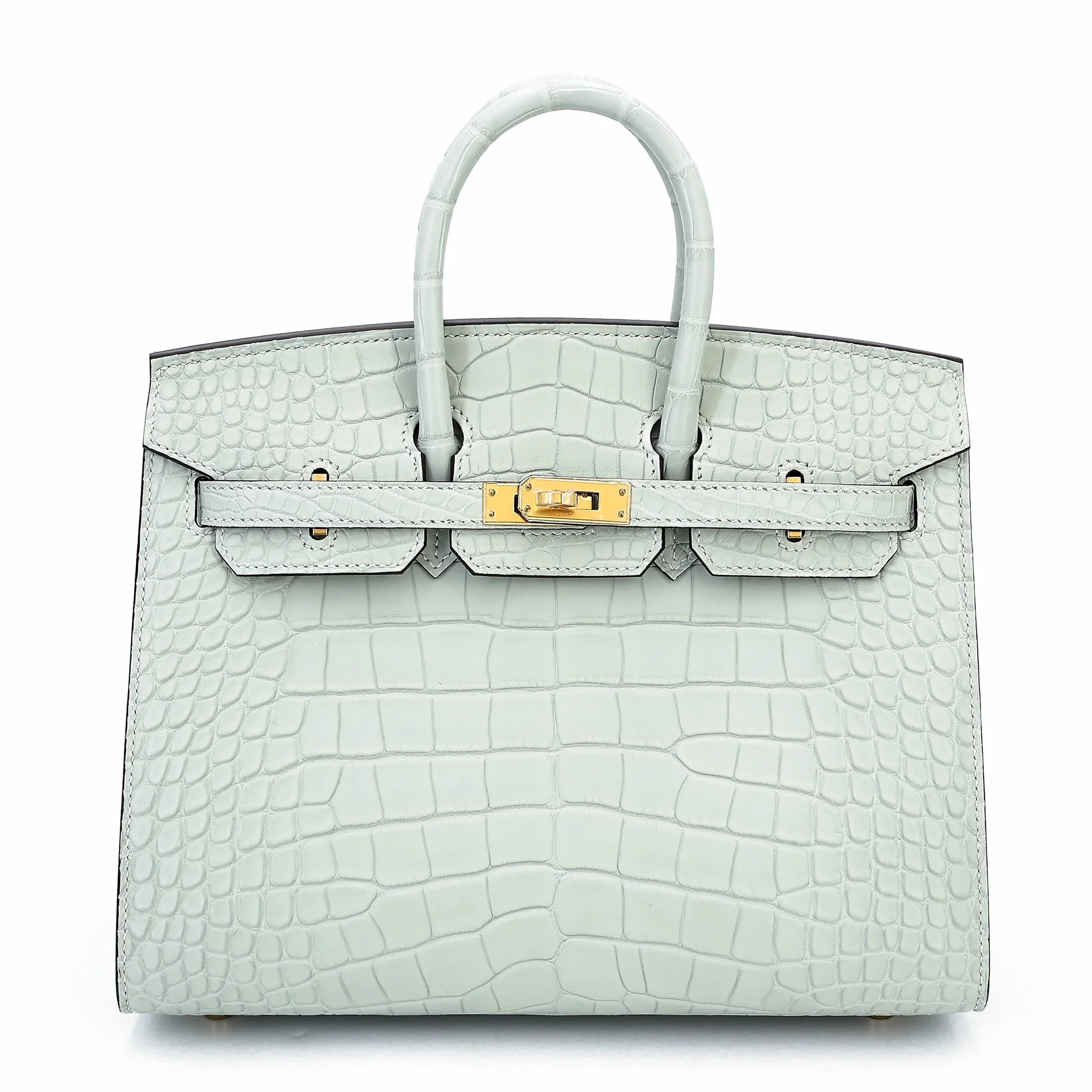 Birkin 25 Sellier Gris Neve (0W)